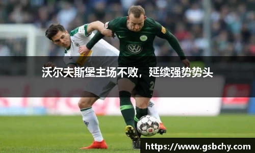 沃尔夫斯堡主场不败，延续强势势头